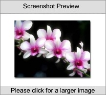 Orchids Screenshot